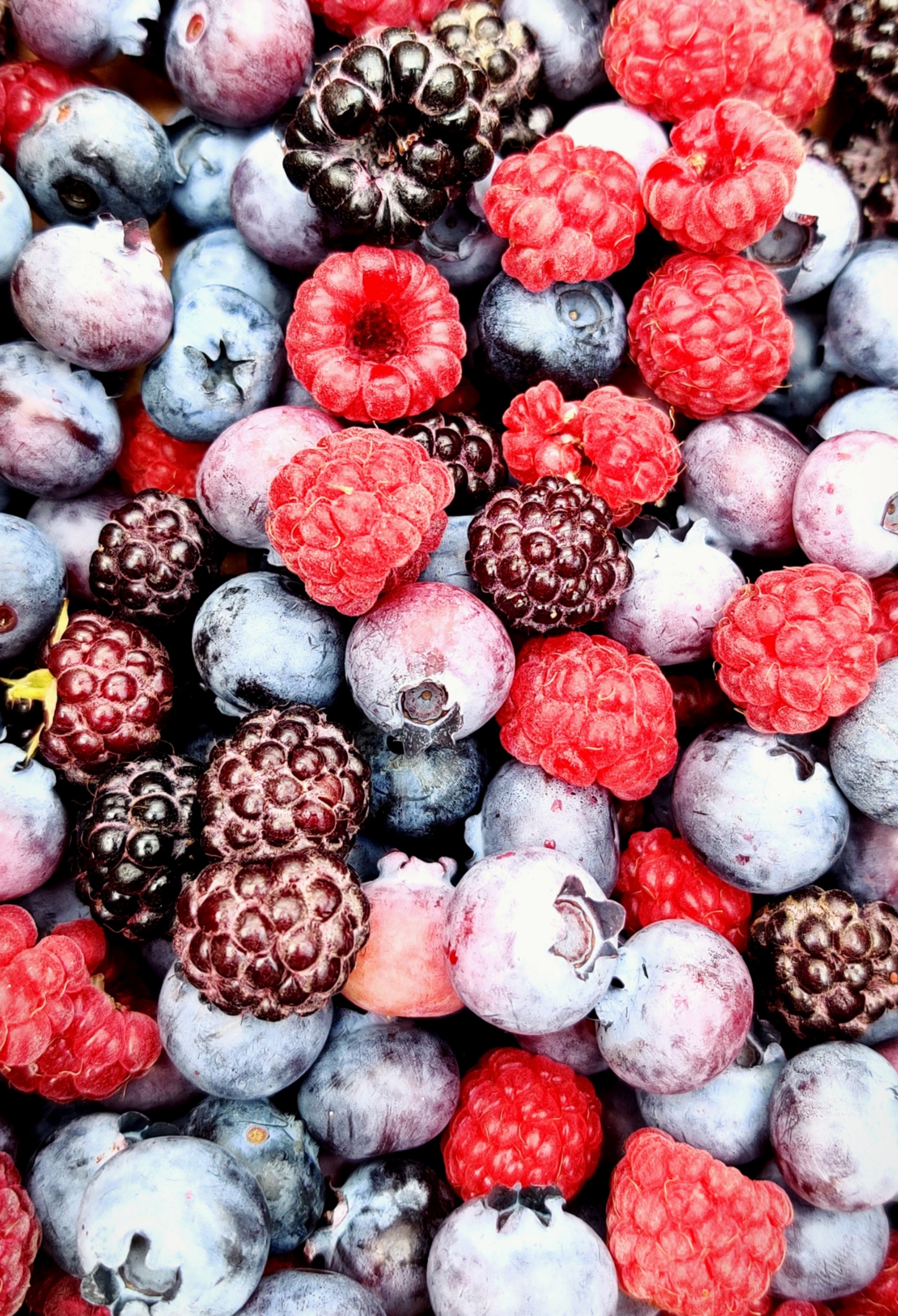 Fresh Fruit and Berries