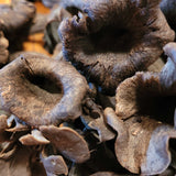 Wild Foraged Black Trumpet Mushroom